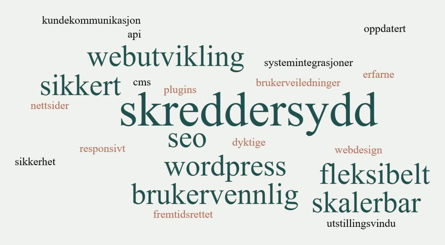 Ordsky som viser styrker ved WordPress webutvikling av byrå i Oslo